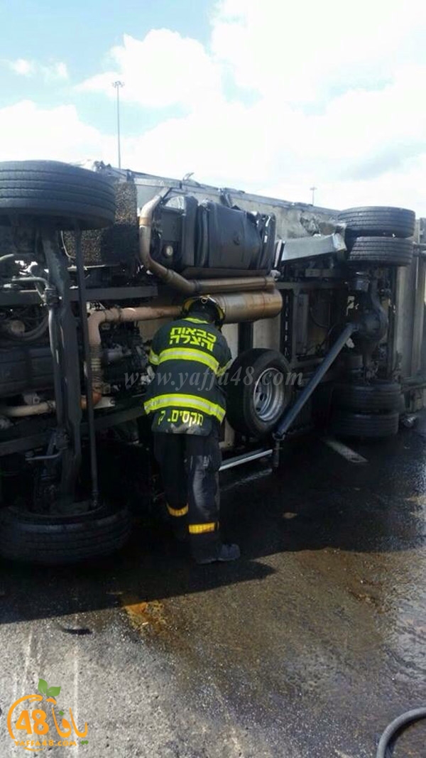 acc lud 1 street (4).jpg